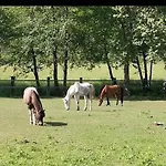 Il Monolocale شقة *